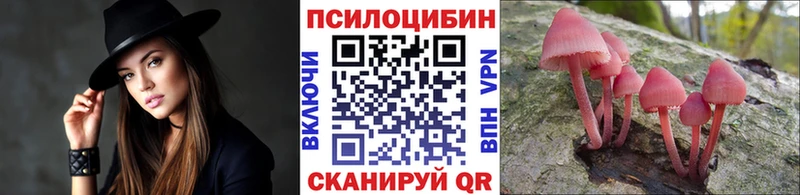 Псилоцибиновые грибы мицелий  Калязин 